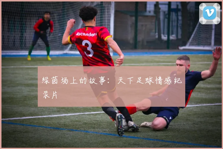 绿茵场上的故事：天下足球情感纪录片